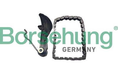 Chain Kit, oil pump drive Borsehung B10251
