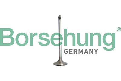 Intake Valve Borsehung B10327