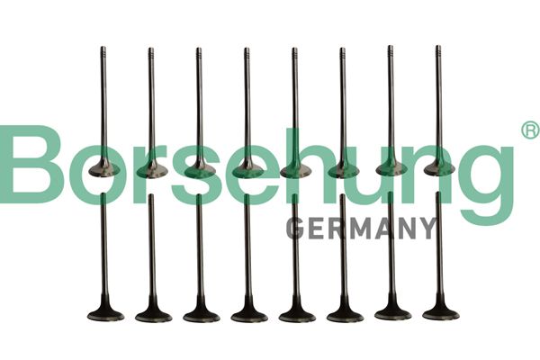 Borsehung B10338 Valve Kit, intake/exhaust valve