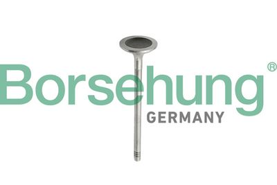 Intake Valve Borsehung B10343