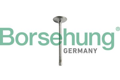 Exhaust Valve Borsehung B10344