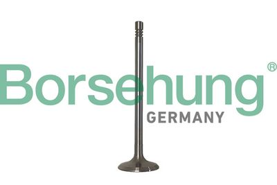 Intake Valve Borsehung B10347