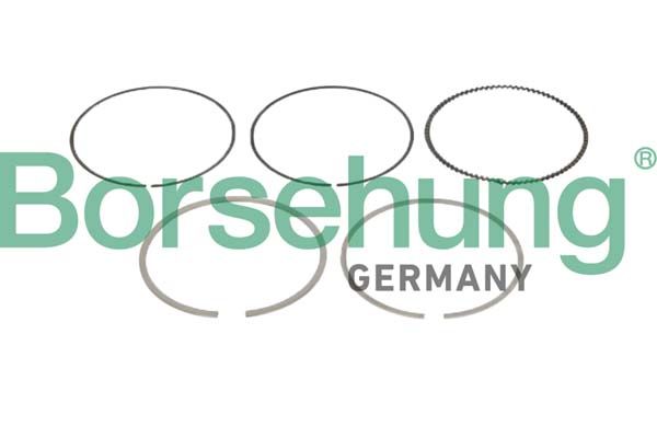 Borsehung B10361 Piston Ring Kit