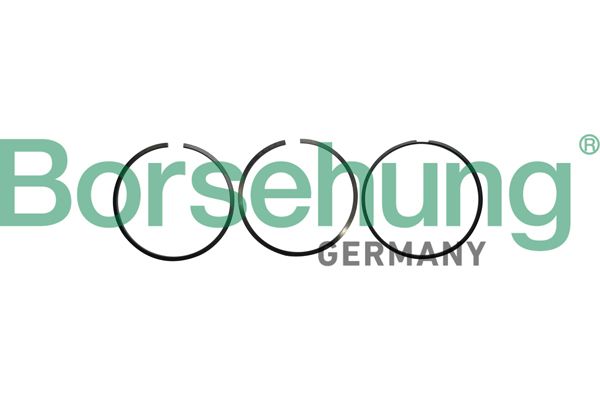 Borsehung B10362 Piston Ring Kit