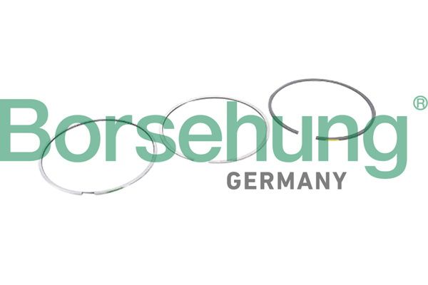 Borsehung B10364 Piston Ring Kit