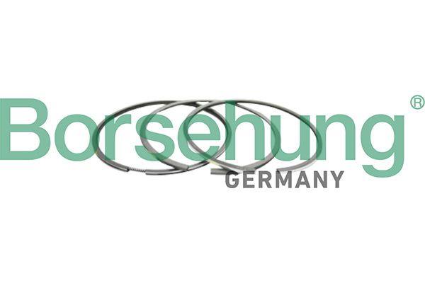 Borsehung B10366 Piston Ring Kit