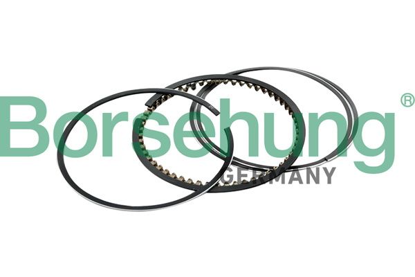 Borsehung B10367 Piston Ring Kit