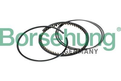 Piston Ring Kit Borsehung B10367