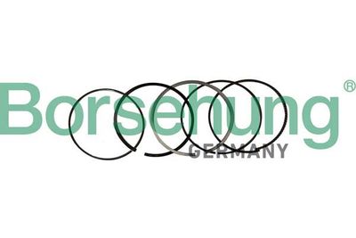 Piston Ring Kit Borsehung B10369