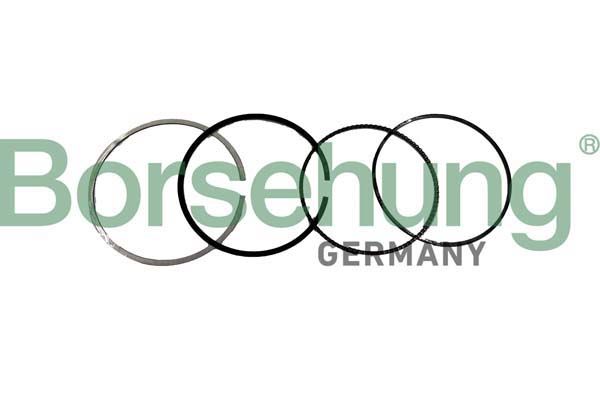 Borsehung B10371 Piston Ring Kit