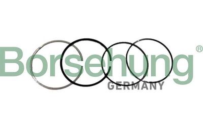 Piston Ring Kit Borsehung B10371