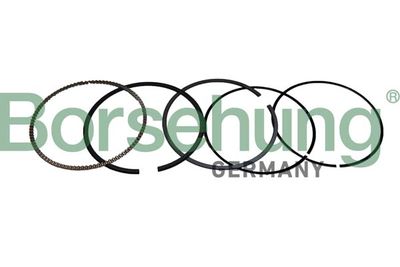 Piston Ring Kit Borsehung B10372