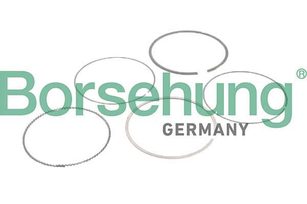 Borsehung B10373 Piston Ring Kit