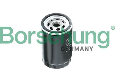 Oil Filter Borsehung B10433
