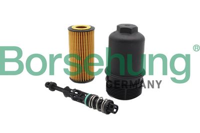 Oil Filter Borsehung B10435