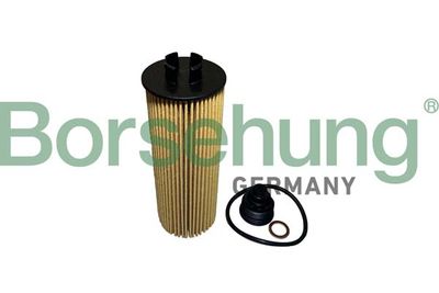 Oil Filter Borsehung B10436