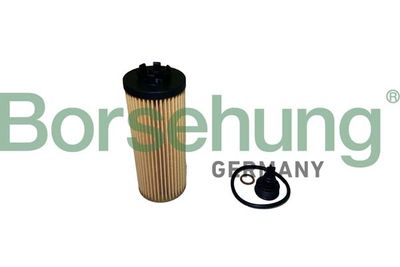 Oil Filter Borsehung B10437