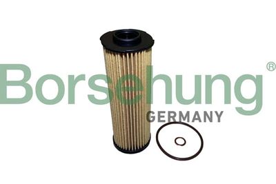 Oil Filter Borsehung B10438