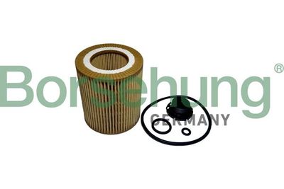 Oil Filter Borsehung B10439