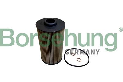Oil Filter Borsehung B10442
