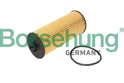 Oil Filter Borsehung B10443