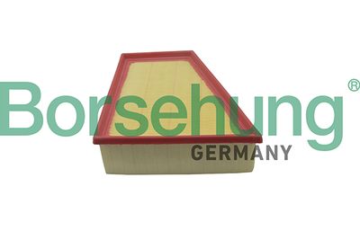 Air Filter Borsehung B10512