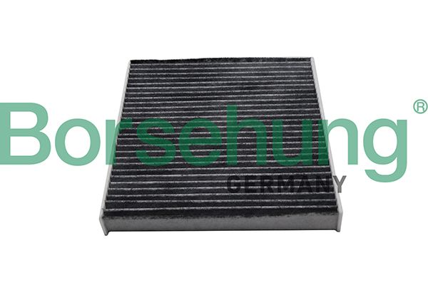 Borsehung B10513 Filter, cabin air