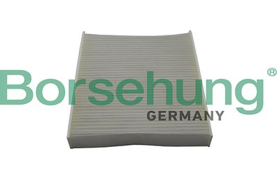 Filter, cabin air Borsehung B10514