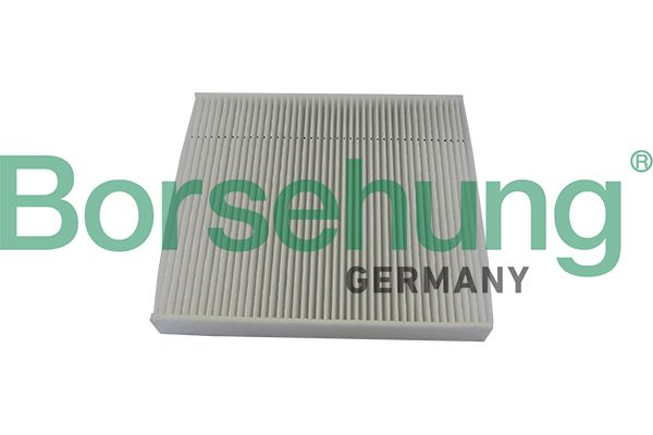 Borsehung B10529 Filter, cabin air