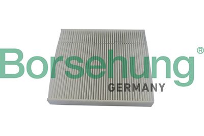 Filter, cabin air Borsehung B10529