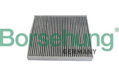Filter, cabin air Borsehung B10534
