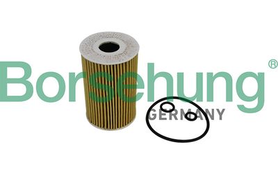 Oil Filter Borsehung B10535