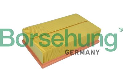 Air Filter Borsehung B10537