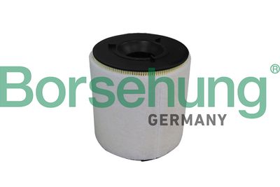 Air Filter Borsehung B10539