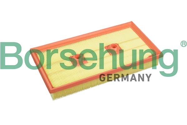 Borsehung B10542 Air Filter