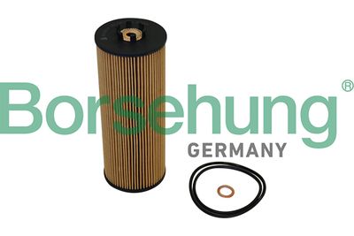 Oil Filter Borsehung B10544