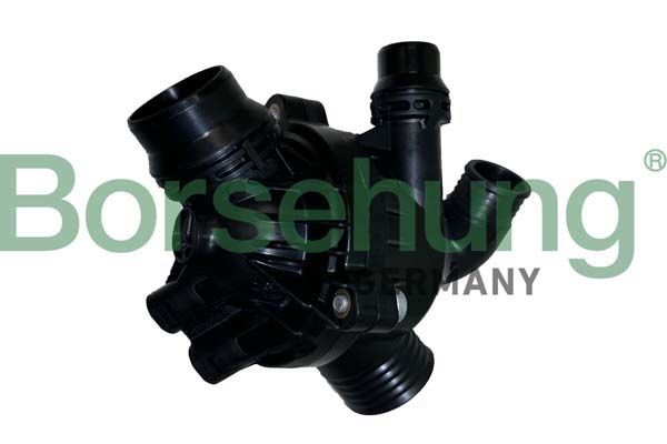 Borsehung B10551 Thermostat, coolant