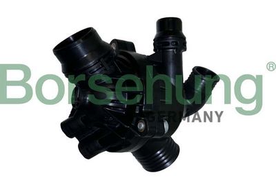 Thermostat, coolant Borsehung B10551