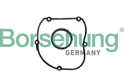 Gasket, timing case cover Borsehung B10627
