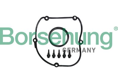 Gasket, timing case cover Borsehung B10629