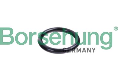 Seal Ring, coolant pipe Borsehung B10632