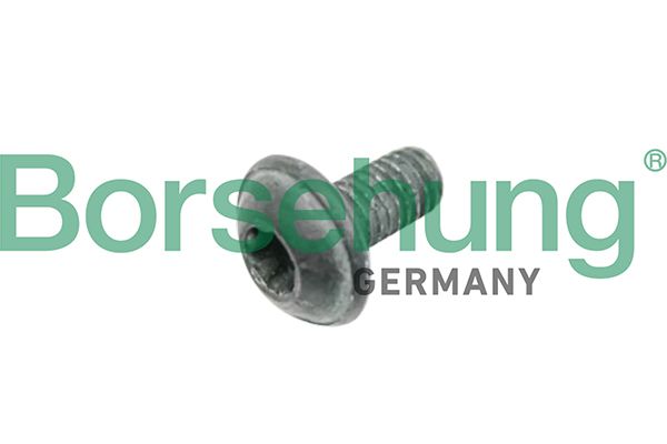 Borsehung B10635 Bolt, brake disc