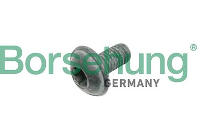 Bolt, brake disc Borsehung B10635