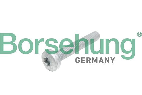 Borsehung B10645 Cylinder Head Bolt