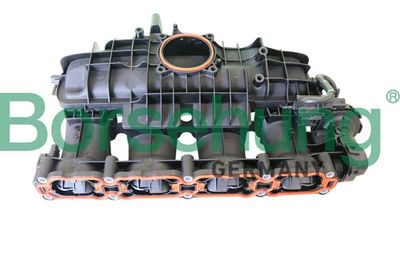 Intake Manifold, air supply Borsehung B10664