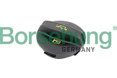 Sealing Cap, oil filler neck Borsehung B10670
