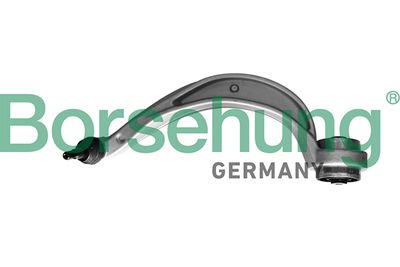 Control/Trailing Arm, wheel suspension Borsehung B10841