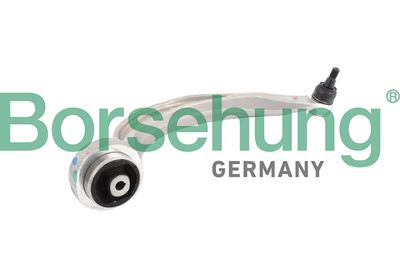 Control/Trailing Arm, wheel suspension Borsehung B10844