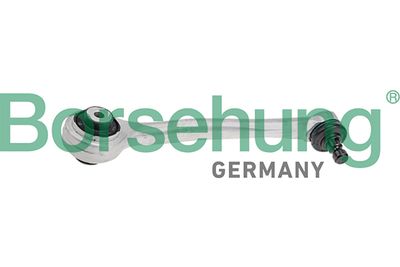 Control/Trailing Arm, wheel suspension Borsehung B10846