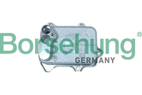 Borsehung B10883 Oil Cooler, engine oil